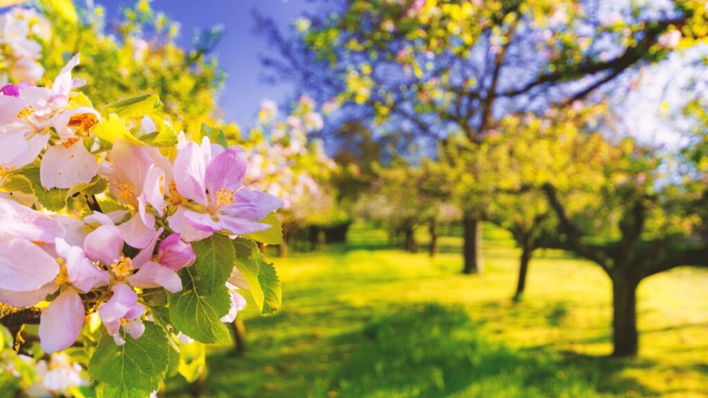 arriva la primavera, guida a come affrontare al meglio il cambio di stagione